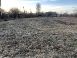    -  10