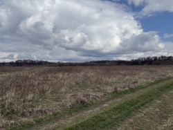 ��������� ������ ³�����, ³�������, ���������, �������� ���� 6