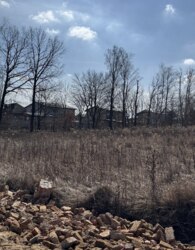 ������ �������� ������ �� ������� �������� ���� 1