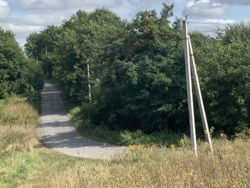 ������ ������ 20 ��� � ��������� ���� 7