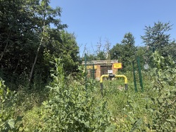 Продається ділянка Тростянець, Тиврівський, Вінницька фото 10 Продається ділянка Тростянець, Тиврівський, Вінницька фото 10