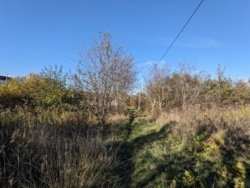 🏞    6     '' 🌿  8
