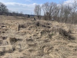 ������ ������ � �.������ ���� 5