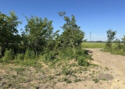 Продаж земельної ділянки під житлову забудову фото 1 Продаж земельної ділянки під житлову забудову фото 1