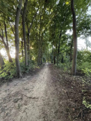 ������ �������� ������. ���� 2