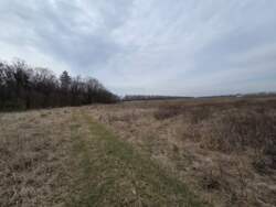 ������ ������ ��� ��� ���� 5