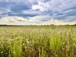 Продаж ділянки Якушинці фото 3 Продаж ділянки Якушинці фото 3