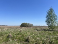 Ділянка в мальовничому місці фото 2 Ділянка в мальовничому місці фото 2