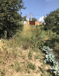 ������ �������� ������ �� ������� �������� ���� 17