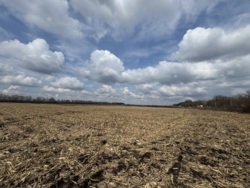 ������ �������� ������ ��������������������� ����������� ���� 6