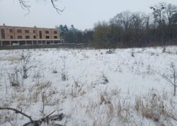 ������ �������� ������ ������������ ����������� ���� 7