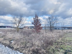 ĳ����� � ��������� ���� 4