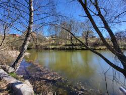 ��������� ������ ����� ������, ³�����, ³�������, �����������, ����� ���� ���� 5