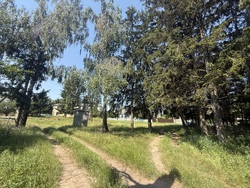 Продається ділянка Тростянець, Тиврівський, Вінницька фото 3 Продається ділянка Тростянець, Тиврівський, Вінницька фото 3