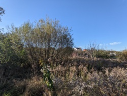 🏞    6     '' 🌿  12