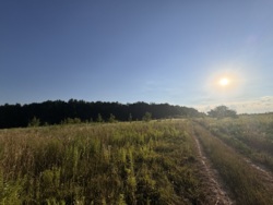 Ділянка Зарванці фото 1 Ділянка Зарванці фото 1