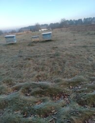 Продаж земельної ділянки сільськогосподарського призначення фото 8 Продаж земельної ділянки сільськогосподарського призначення фото 8