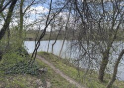 Продається земельна ділянка у Гавришівці фото 16 Продається земельна ділянка у Гавришівці фото 16