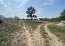 ������ �������� ���� �� ��������. ���� 15