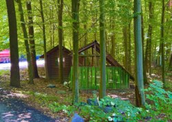 ������ �������� ������ ������������ ����������� �� ���. �������� ���� ���� 10