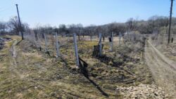 �������� ������ � ��� ������� ³������� �����. 39 �����.. ���� 1