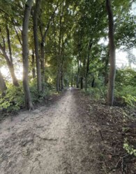 ������ �������� ������ �� ������� �������� ���� 10