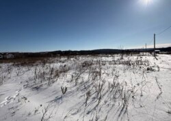 ������ �������� ������ ��������� (��������) ���� 11