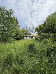 Продаж ділянки біля озера в Агрономічному фото 4 Продаж ділянки біля озера в Агрономічному фото 4
