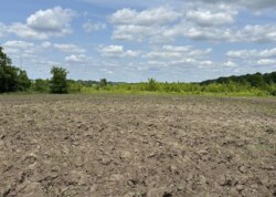 ������ �������� ������ ������������ ����������� �� ���. ��������� ����, ����� 40 ����� ���� 12