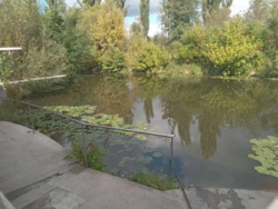 Продам земельний участок на березі річки. фото 7 Продам земельний участок на березі річки. фото 7