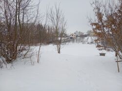 ������ �������� ������. ���� 12