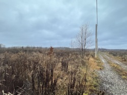 Ділянка в Якушинцях фото 8 Ділянка в Якушинцях фото 8