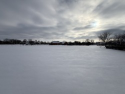 продаж земельної ділянки с.Сосонка фото 8 продаж земельної ділянки с.Сосонка фото 8