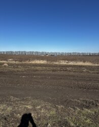 ������ �������� ������ �� ������� �������� ���� 12