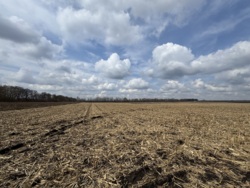 ������ �������� ������ ��������������������� ����������� ���� 7