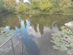 Продам земельний участок на березі річки. фото 6 Продам земельний участок на березі річки. фото 6