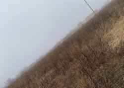 Продаж земельної ділянки сільськогосподарського призначення фото 3 Продаж земельної ділянки сільськогосподарського призначення фото 3