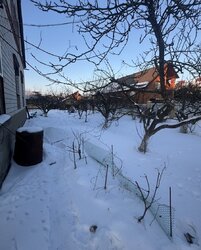 ������ �������� ������ ���� 11