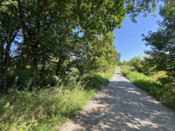       4,3             ,      !  19