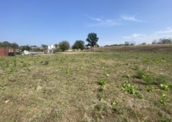 ������ �������� ���� �� ��������. ���� 5