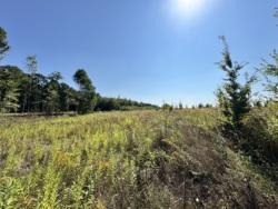 ĳ����� �������� ���� 7