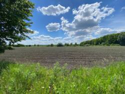 Земельна ділянка за вигідною ціною! Ідеальна для дачі або будинку! фото 5 Земельна ділянка за вигідною ціною! Ідеальна для дачі або будинку! фото 5