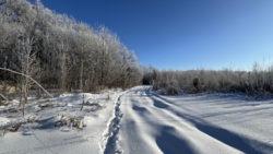 🌿 ������ �������� ������ 10 ����� ������� � �������� ���� ��� ����� �� ����������! ���� 11