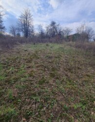 ������ �������� ������ ��������������������� ����������� ���� 1