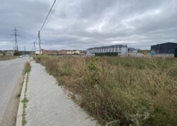 ������ �������� ������ ������������ ����������� �� ����������� ����, ����� 24 ����� ���� 17