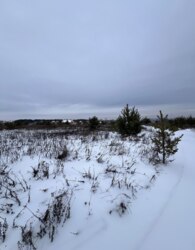 Продаж земельної ділянки під житлову забудову на 7-й пров. Леонида Каденюка фото 6 Продаж земельної ділянки під житлову забудову на 7-й пров. Леонида Каденюка фото 6