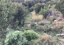 ������ �������� ������ �� ������� �������� ���� 1