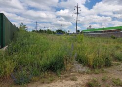 ������ �������� ������ ������������ ����������� �� ����������� ����, ����� 24 ����� ���� 7