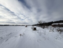 ������ ������ �� ������� �������� �.������� ���� 8