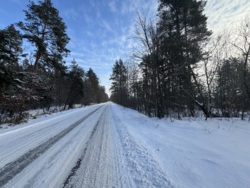 ������ �������� ������ � �. ������ � 20 ����� ��� ��� 🌲 ���� 7